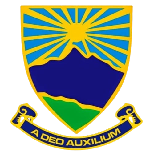 Partner Organization